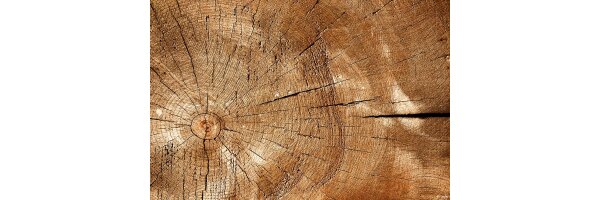 Holz