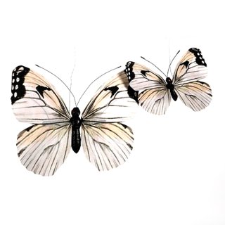 Schmetterling z.hängen bedr 50 cm weiss