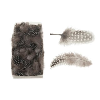 Feather 22x11x4.5cm 10gr