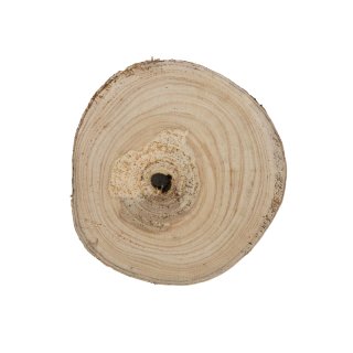 Paulownia wood round slice 20x20x3cm
