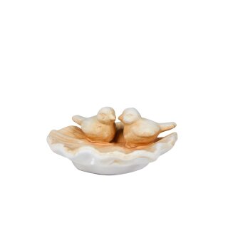 Giftbox birdbath-feeder vogel terra