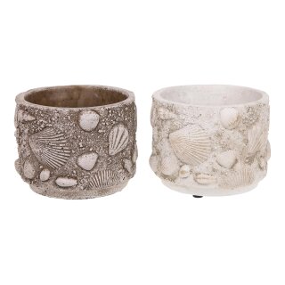 PD Topf Zement Muscheldeko