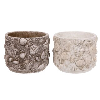 PD Topf Zement Muscheldeko