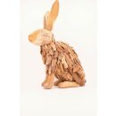 PD Kaninchen Teakholz Erosion