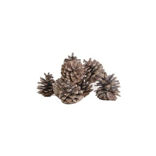 Blauer Tannenzapfen natur 200gr / Display