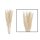 NL-Pampas-Gras Mace 10 Stk.