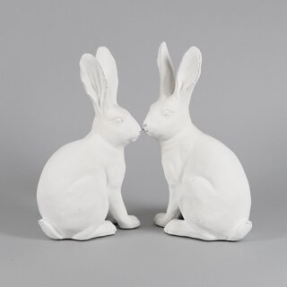 PD Poly Hase Master Ed sortiert