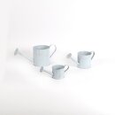 PD Giesskanne aus Zink zum bepflanzen