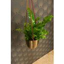 Hanger Satz Mayra (2er Set)