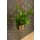 Hanger Satz Mayra (2er Set)