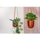 Hanger Satz Mayra (2er Set)