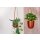 Hanger Satz Mayra (2er Set)