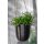 Hanger Satz Mayra (2er Set)