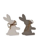 PD Hase Emily Zement M