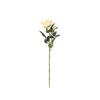 Blumenstammrose 47cm