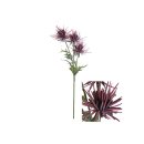 Blütenstiel-Chrysantheme 77cm
