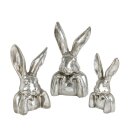 PD Poly Hasen-B&uuml;ste Sir-Edward