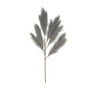 Zweig Pampas k&uuml;nstlich