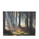 Wandbild Mystic Wald
