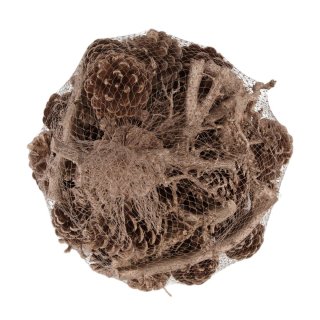 Tannenzapfen gemischt mit Ast lockig 1kg natur