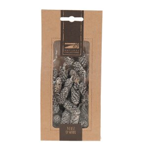Birke Kiefer 50gr pbm
