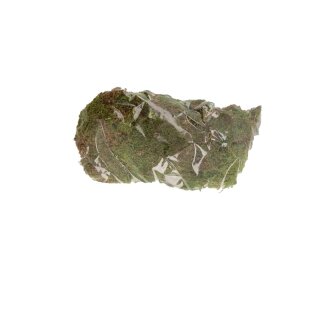 Flaches Moos 100gr