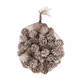 Tannenzapfen Silvester Natur 1kg