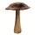 Pilz Woodpecker