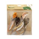 Vögeli auf Clip 24cm assortiert