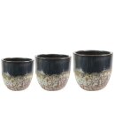 Topf Satz von 3 Pride