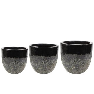 Topf Satz von 3 Pride