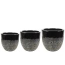 Topf Satz von 3 Pride