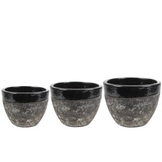 Topf Satz von 3 Pride