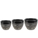 Topf Satz von 3 Pride