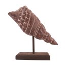 PD Muschel auf St&auml;nder Puerto