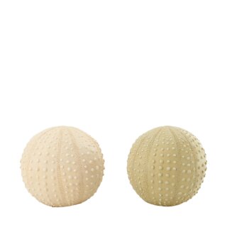 PD Koralle Moby Polyresin