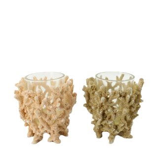 PD Teelichthalter Reef Koralle ass.