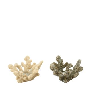 PD Teelichthalter Reef Koralle ass.