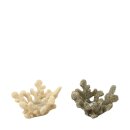 PD Teelichthalter Reef Koralle ass.