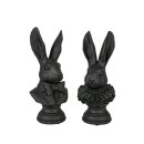 PD Poly Hasen-B&uuml;ste Sir&Lady Jones S