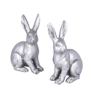 PD Poly Hase Master Ed S ass.