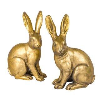 Poly Hase Master Ed M ass.