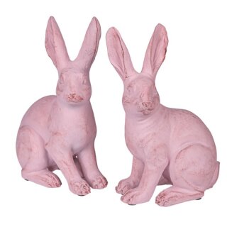 Poly Hase Master Ed S ass.