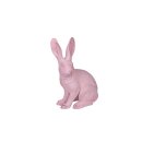 PD Poly Hase Master Ed M ass.