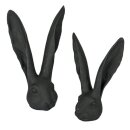 PD Poly Hasen-Kopf Sir Ludwig L