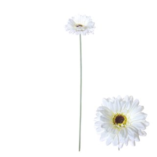 Blütenstiel Gerbera 55cm