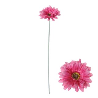 Blütenstiel Gerbera 55cm