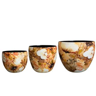 Topf Satz von 3 Cotton