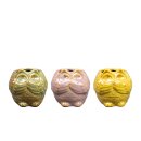 Topf Owl ass.