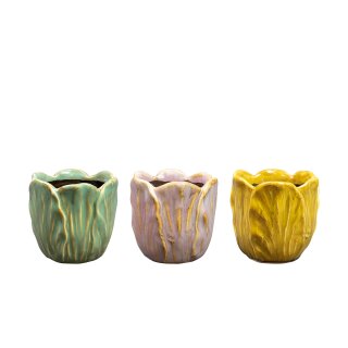 Topf Tulip
